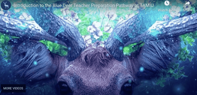 Blue Deer Teacher Preparation Pathway